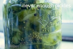Pickled Gherkins