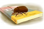 Catching the writing bug